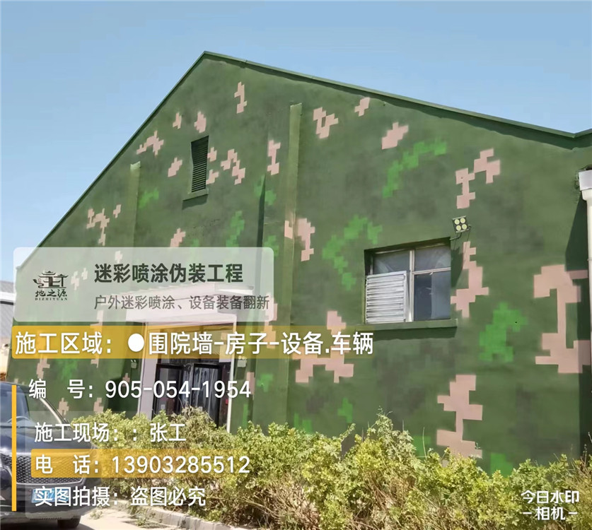 浙江外墙数码迷彩漆施工报价清单（100㎡标准墙面测算）